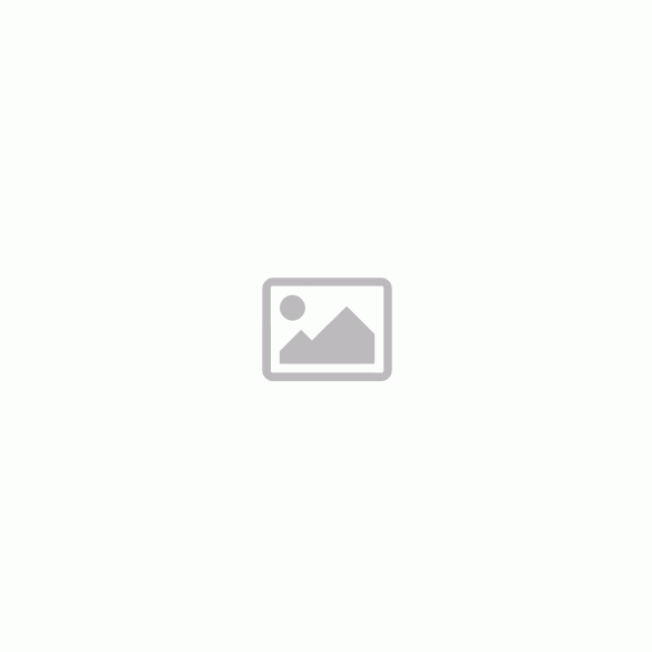 Csapos lamellás (szaturnusz) korong 50X10mm P60 YRK2202810K YORK 
